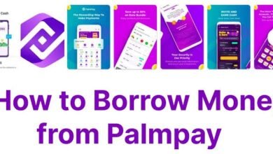 How To Borrow Money With Palmpay Loan App