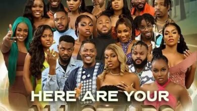 How To Watch Big Brother Naija Online For Free