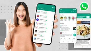 Features of WhatsApp channels