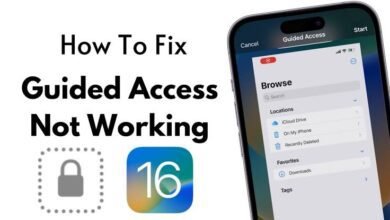 Ways To Fixes Guided Access Is Not Working on Your iPhon